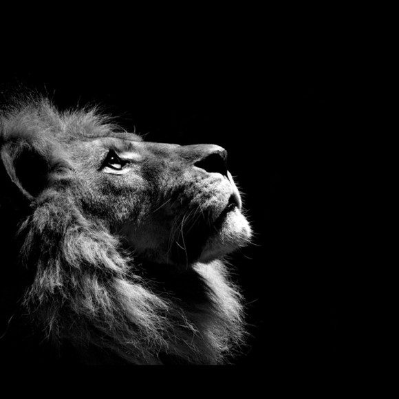 Meet your Posher, Sh - Picture 1 of 1